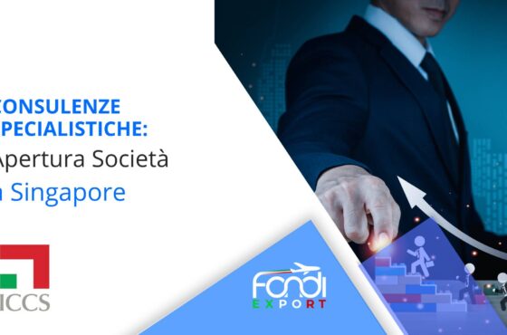 Apertura società a Singapore