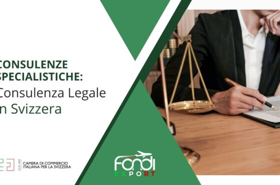 Consulenza legale in Svizzera