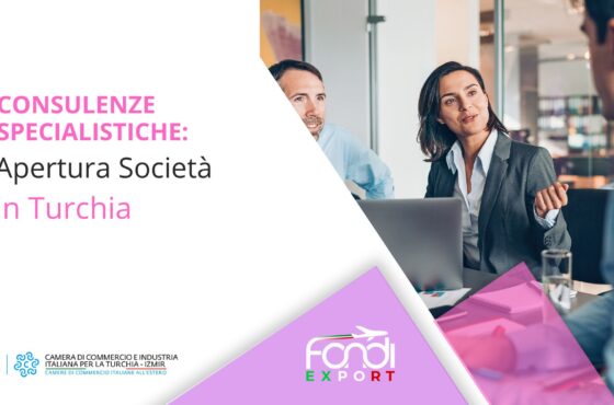 Apertura società in Turchia