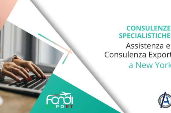 Assistenza e consulenza export a New York