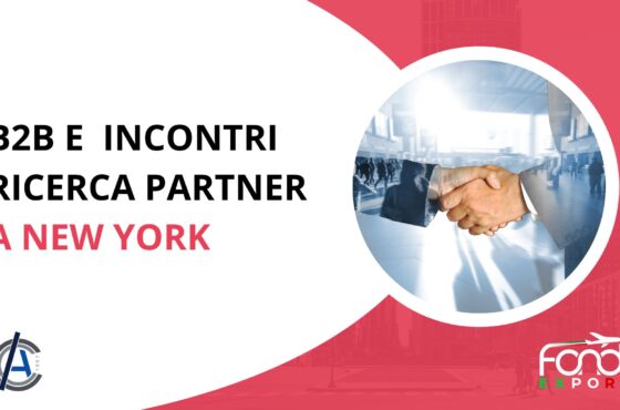Incontri B2B e ricerca partner a New York
