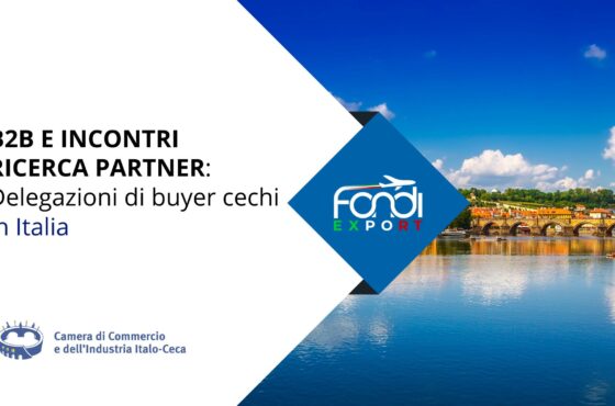 B2B e Ricerca Partner: Delegazioni di buyer cechi in Italia