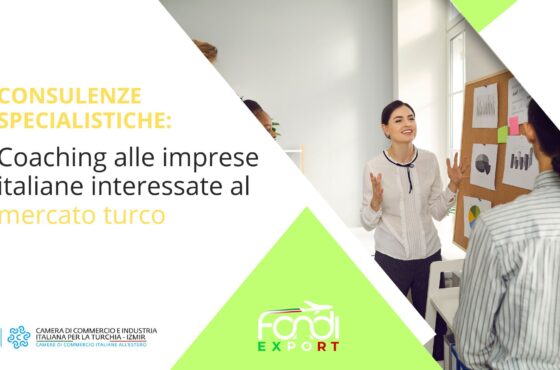 Coaching a imprese italiane interessate al mercato in Turchia