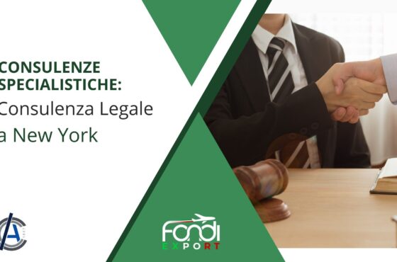 Consulenza legale a New York