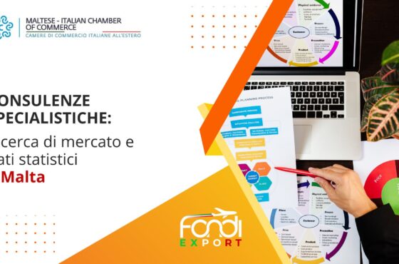 Ricerca di mercato e dati statistici a Malta
