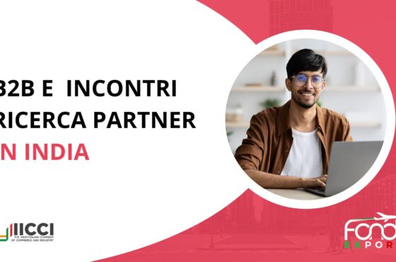 Incontri B2B e ricerca partner in India