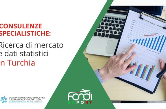 Ricerca di mercato e dati statistici in Turchia