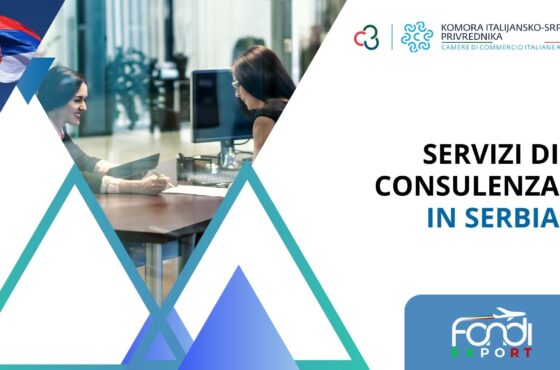Servizi di consulenza in Serbia