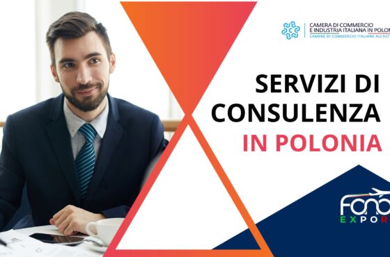Servizi di consulenza in Polonia
