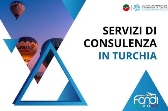 Servizi di consulenza in Turchia