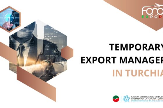Temporary Export Manager in Turchia