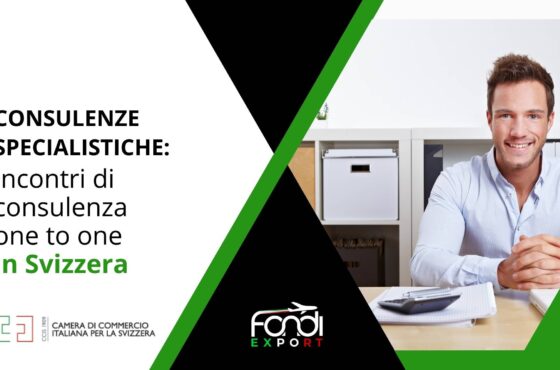 Incontri di consulenza one to one in Svizzera