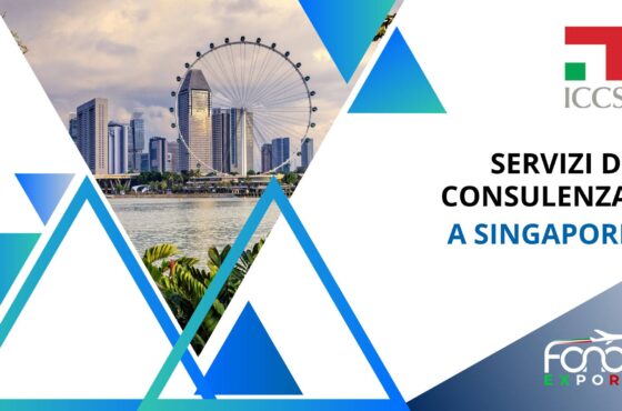 Servizi di consulenza a Singapore
