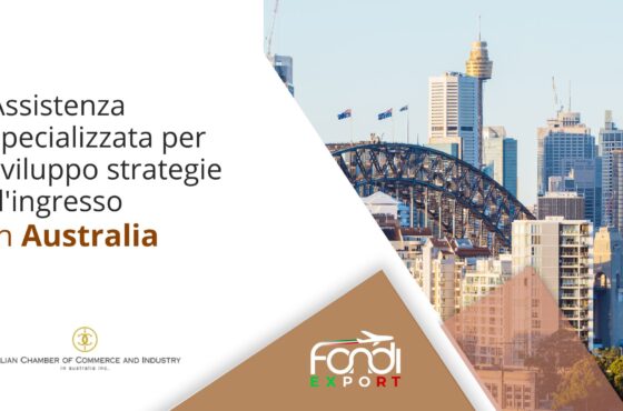 Assistenza specializzata per sviluppo strategie ingresso