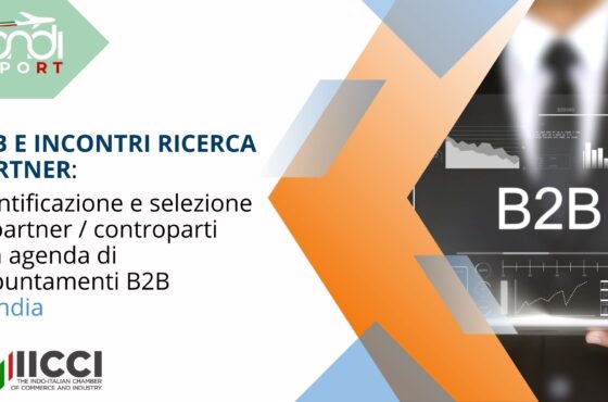 Identificazione e selezione di partner/controparti con agenda di appuntamenti B2B in India