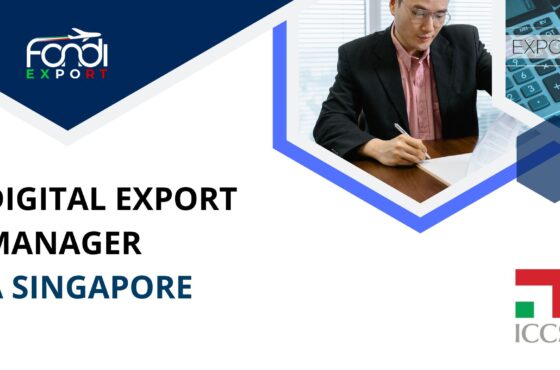 Digital Export Manager a Singapore