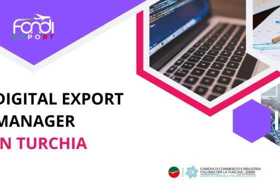 Digital Export Manager in Turchia