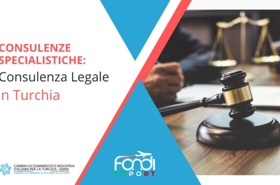 Consulenza legale in Turchia