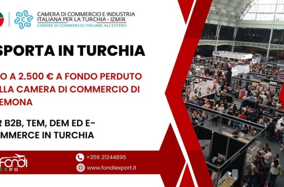 Finanziamento a fondo perduto di 2.500 € alle imprese cremonesi per B2B, TEM, DEM ed e-commerce in Turchia