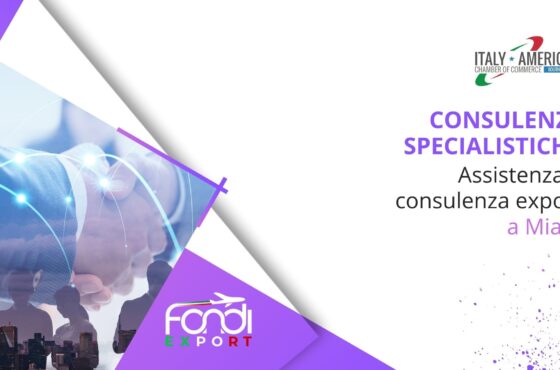 Assistenza e consulenza export a Miami
