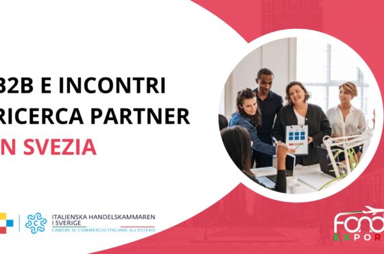 Incontri B2B e ricerca partner in Svezia