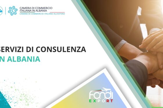 Servizi di consulenza in Albania