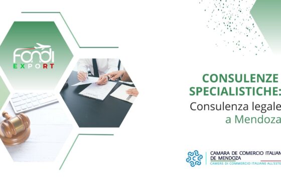 Consulenza legale a Mendoza