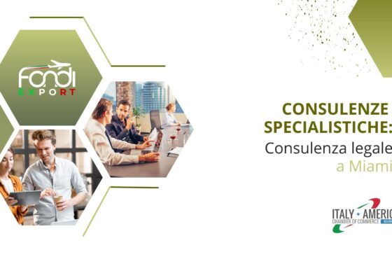 Consulenza legale a Miami
