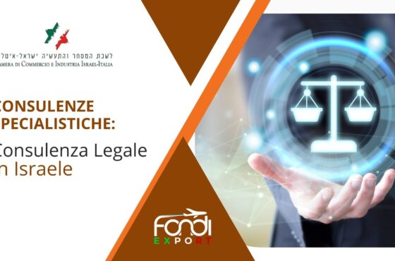 Consulenza legale in Israele