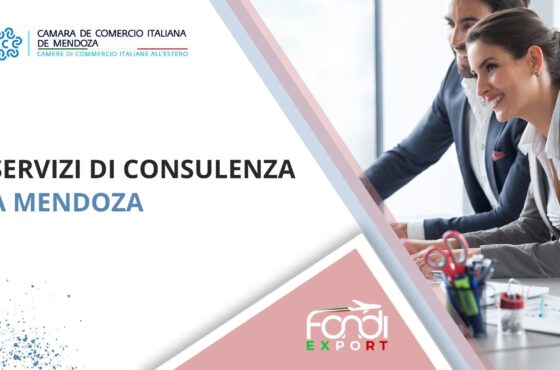 Servizi di consulenza a Mendoza