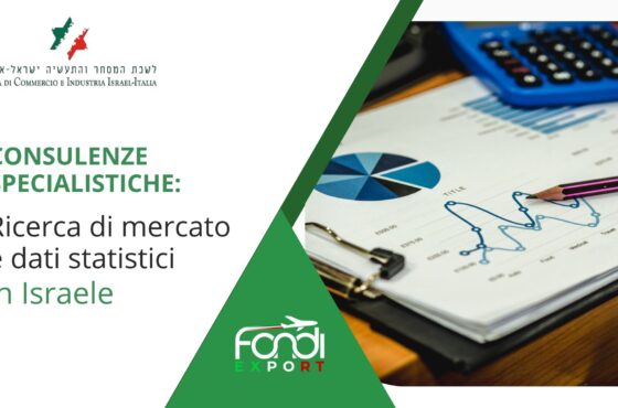 Ricerca di mercato e dati statistici in Israele