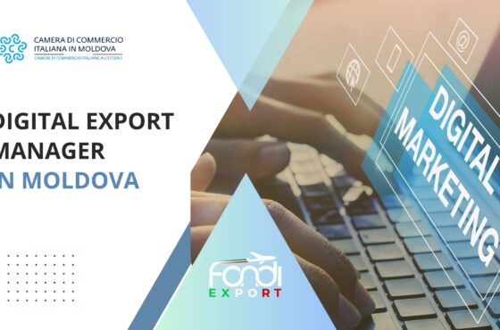 Digital Export Manager in Moldova