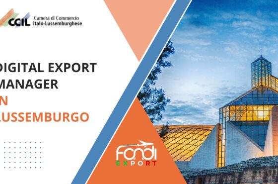 Digital Export Manager in Lussemburgo