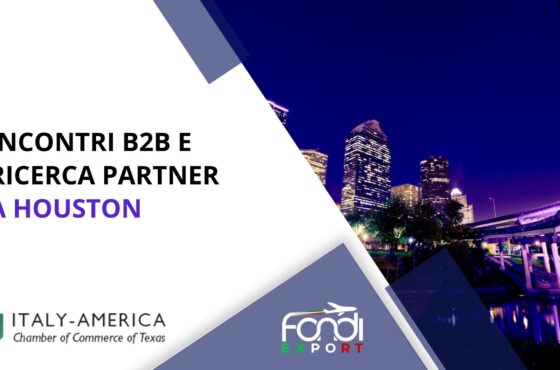Incontri B2B e ricerca partner a Houston