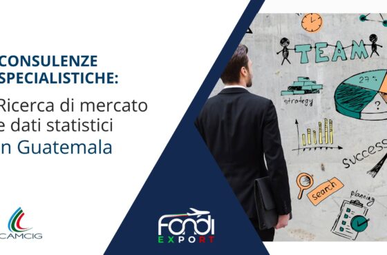 Ricerca di mercato e dati statistici in Guatemala