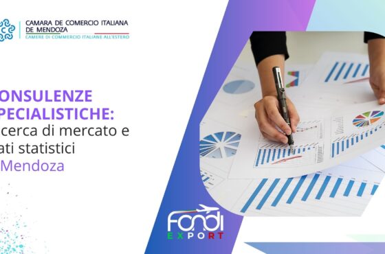Ricerca di mercato e dati statistici a Mendoza