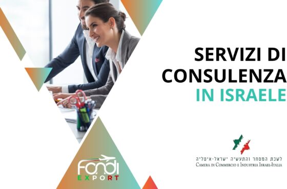 Servizi di consulenza in Israele