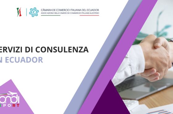 Servizi di consulenza in Ecuador