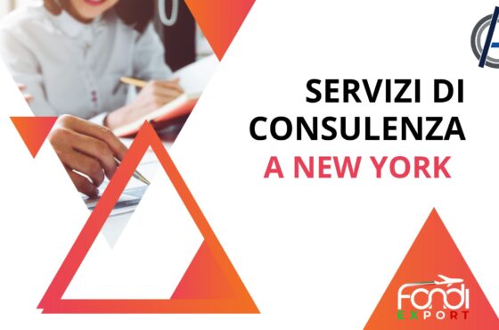 Servizi di consulenza a New York