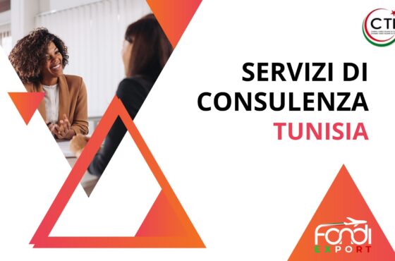 Servizi di consulenza in Tunisia