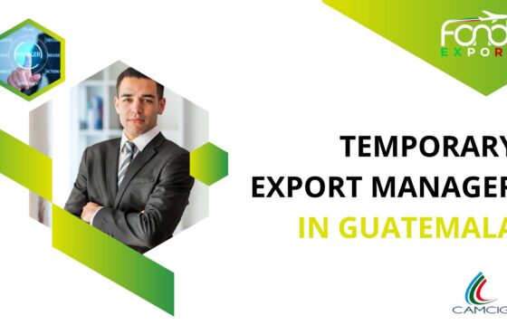 Temporary Export Manager in Guatemala