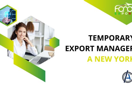 Temporary Export Manager a New York