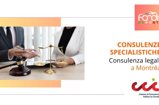 Consulenza legale a Montréal