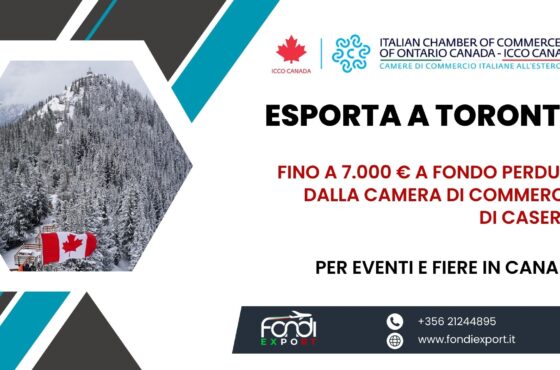 Fino a 7.000 € di finanziamento a fondo perduto alle PMI e grandi imprese casertane per fare business a Toronto
