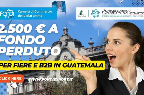 Un finanziamento a fondo perduto di 2.500 € è disponibile per le imprese toscane per E-Commerce, TEM, DEM, B2B, Consulenze, Partecipazione a fiere in Guatemala