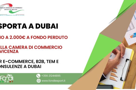 Sviluppa il tuo business negli Emirati Arabi, le aziende vicentine hanno a disposizione 2.000 € di finanziamento a fondo perduto