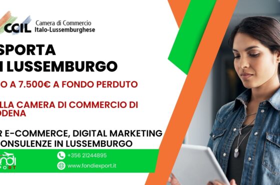Finanziamento a fondo perduto di 7.500 € alle imprese modenesi per Digital marketing, E-Commerce, Consulenze in Lussemburgo