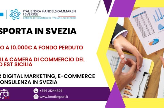 Stanziati 10.000 € per finanziamento a fondo perduto alle imprese siciliane per Digital marketing, E-Commerce e Consulenze in Svezia