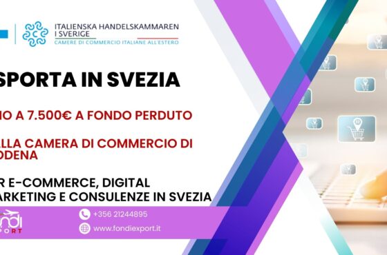 Le imprese modenesi hanno l’opportunità di ottenere un finanziamento a fondo perduto di 7.500 € per Digital marketing, E-Commerce, Consulenze in Svezia