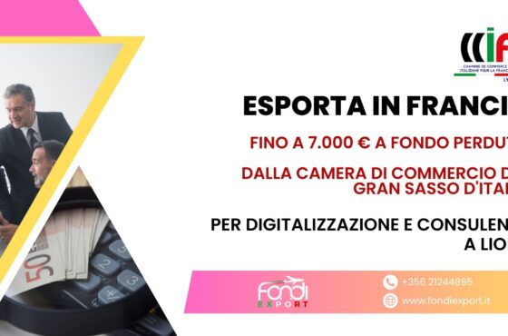 Opportunità innovativa di finanziamento: voucher fino a 7.000 € per le imprese abruzzesi e le loro iniziative finanziabili nel campo di Digitalizzazione e Consulenze in Francia